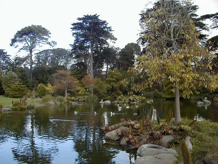 Stow Lake in Golden Gate Park<br>Location: <a href="https://www.google.com/maps/search/?api=1&query=37.76932,-122.47273" target="_new">Stow Lake, Golden Gate Park</a>